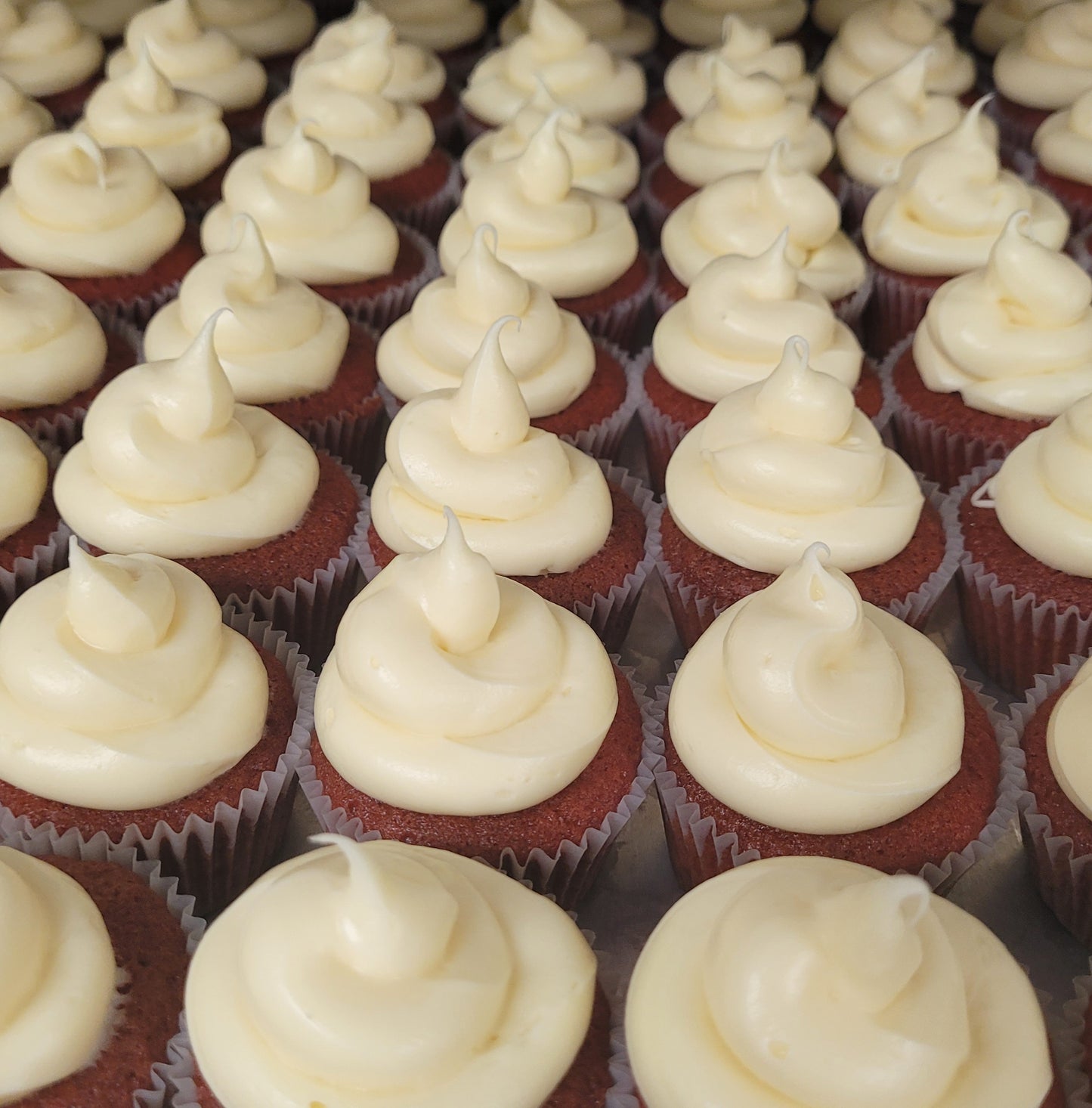 Half Dozen Cupcakes